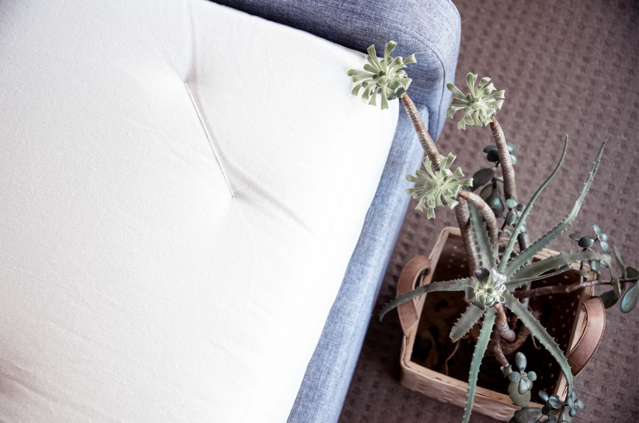 The Natural Bedding Company's range of mattresses have been making it hard to get out of bed for nearly four decades, but for all the right reasons - they're Australian made, organic, sustainable, ethical and damn comfy